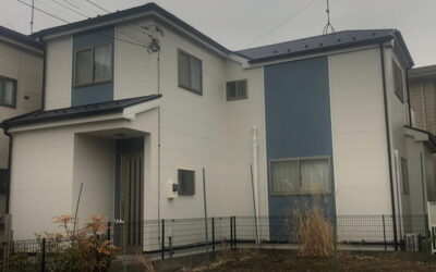 アレスダイナミックTOP　アレスクール2液Si　100～110万