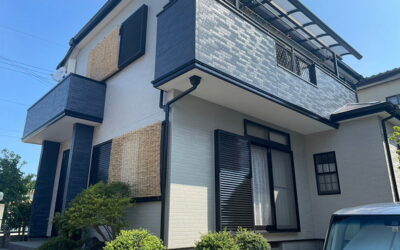 エスケープレミアムシリコン　アレスダイナミックルーフMUKI　110～130万