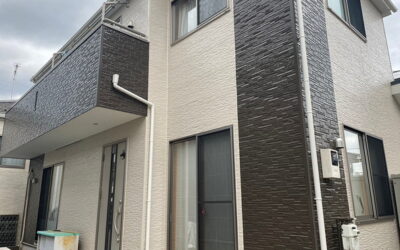 アレスダイナミックMUKIマイルド　100～115マン